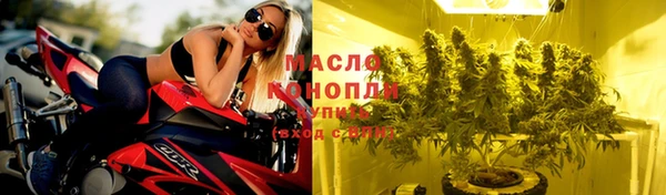 индика Бронницы