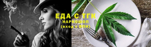 индика Бугульма