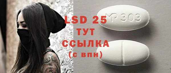 индика Бронницы