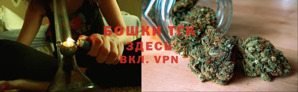 дурь Бородино