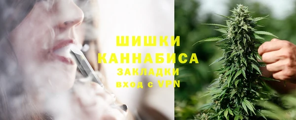 индика Бугульма