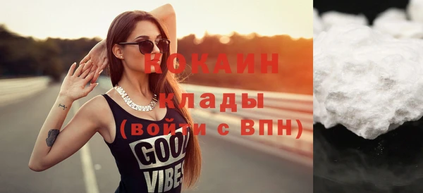 дурь Бородино