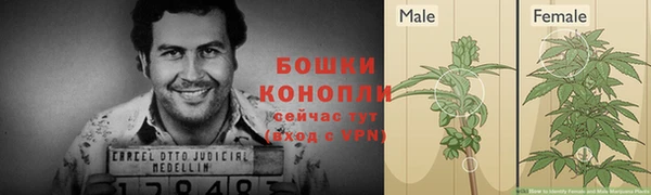 индика Бронницы