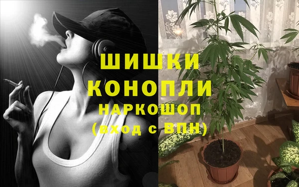 дурь Бородино