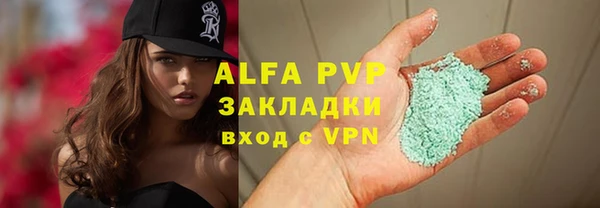 дурь Бородино