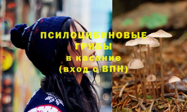 индика Бронницы