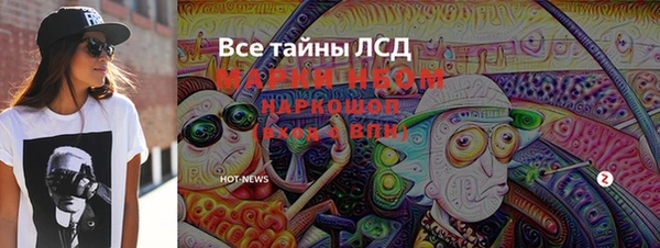 индика Бронницы