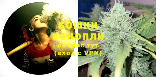 индика Бронницы