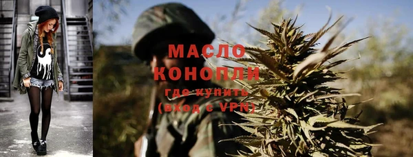 индика Бронницы
