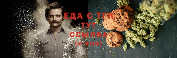 индика Бугульма