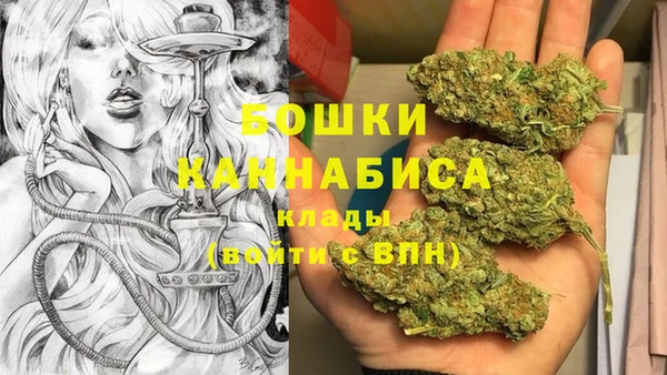 индика Бронницы