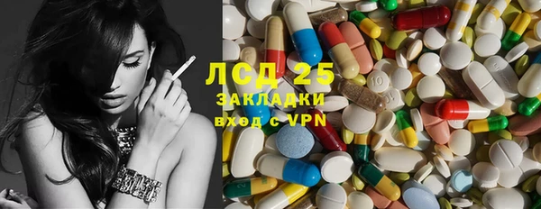 индика Бронницы