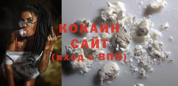 индика Бугульма