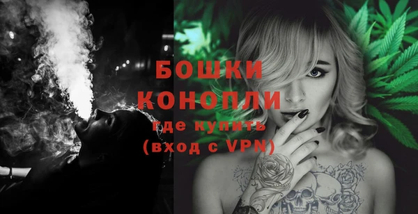 индика Бронницы