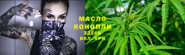 дурь Бородино