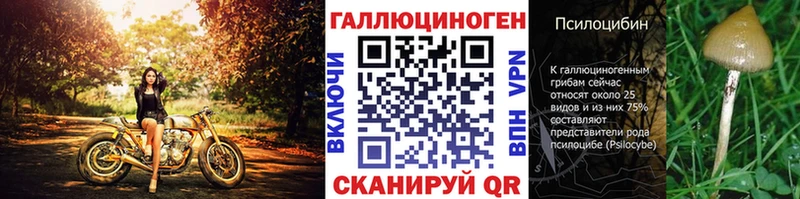 нарко площадка официальный сайт Щигры Псилоцибиновые грибы мицелий